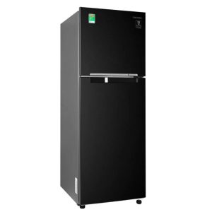 Alternative view of Tủ Lạnh Samsung Inverter 236 Lít TMF-RT22M4032BU
